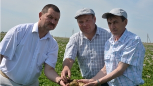 Батыревский район посетил заместитель министра сельского хозяйства республики