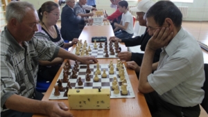 День физкультурника в ФСК "Присурье"