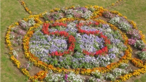 Цветы и клумбы – в подарок к юбилею городу