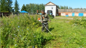 Экологический субботник "Зеленая Россия" в Канашском и Ибресинском лесничествах