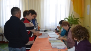 Мариинско-Посадский район: явка избирателей на 12:00 составила 34, 6 %