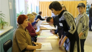 Ход голосования на 15.00 часов по городу Новочебоксарску