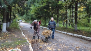 Работники Опытного лесничества провели экологический субботник