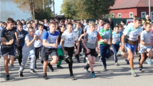 «Кросс Нации - 2015» в Цивильском районе – это праздник спорта