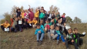 Ученики начальных классов Шоршелской школы приняли участие в республиканской акции «Дни наблюдения птиц»