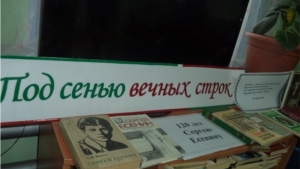 Литературный вечер в отделении стационарного обслуживания с.Аликово