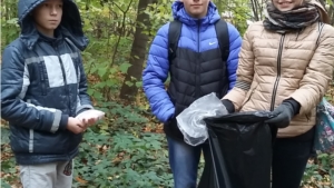 В Новочебоксарске прошел первый этап традиционной городской экологической акции «Чистая роща»