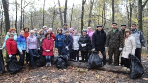 Городской субботник