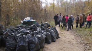 Около 500 человек стали участниками общегородского субботника за ДК тракторостроителей