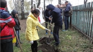 Завершилась школьная акция «Посади дерево»
