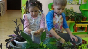 Забота о зеленых питомцах