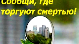 16 ноября в Чувашии стартует всероссийская акция «Сообщи, где торгуют смертью»