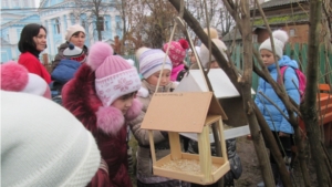 Встречаем синичек