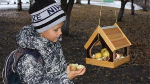 Накормим синичек и всех зимних птичек