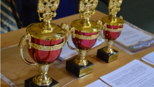 Состоялся традиционный турнир по волейболу, посвященный Дню работника налоговых органов Российской Федерации