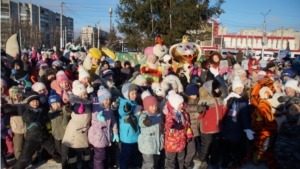 На главной зеленой красавице Калининского района Чебоксар зажглись новогодние огни