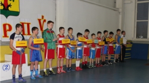 В Цивильске состоялось открытие XVII Всероссийского юношеского турнира по боксу памяти С.П. Полещука
