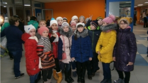 Поездка на ледовое шоу