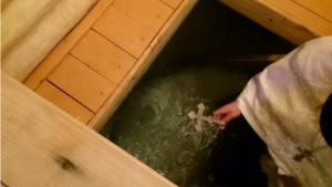 В д.Большие Багиши  Ядринского района сегодня состоялось освящение крещенской воды