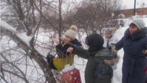 Акция "Покормите птиц зимой!"