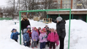 В детском саду «Рябинка» уже стало хорошей традицией с наступлением холодов проявлять заботу о птицах