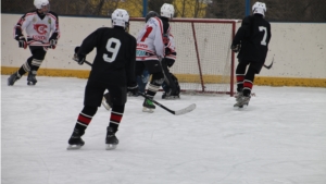 В Шумерлинском районе состоялся хоккейный турнир в честь Дня защитника Отечества