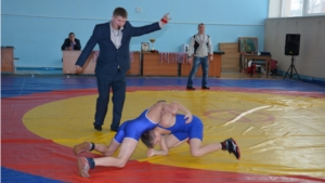 Соревнования по вольной борьбе памяти кавалера ордена Мужества Ф.Камалетдинова