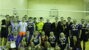 Кубок защитника Отечества по волейболу среди мужских команд