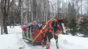 Масленичные гуляния в городском парке