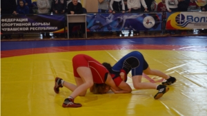 Республиканский турнир по спортивной (вольной) борьбе среди девушек на призы чемпионок мира и Европы сестёр Ольги и Натальи Смирновых