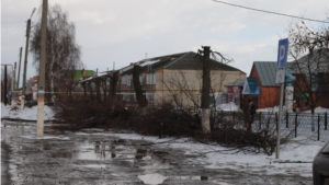 Обрезка деревьев по ул. Космовского