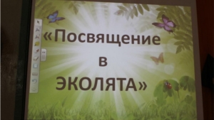 Юных шумерлинцев приняли в «Эколята-дошколята»