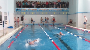 Соревнования по плаванию среди работников образования