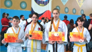 Открытый Чемпионат и первенство Чувашской Республики по каратэ (версия WKC)