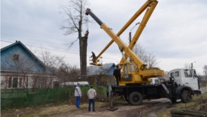 Спил аварийного дерева у дома ветерана Великой Отечественной войны