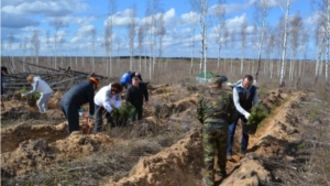 Старт акции «Всероссийский день посадки леса»