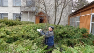 В Шемуршинском лесничестве прошли мероприятия в рамках Всероссийского дня посадки леса и экологического субботника «Зеленая весна»