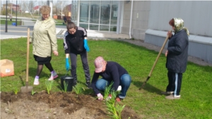 Акция "Сирень победы" в ФОК "Патвар"