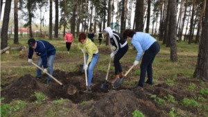 Благоустройство парка культуры и отдыха и соснового бора