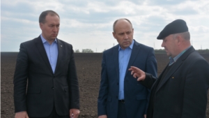 Глава администрации Батыревского района ознакомился с ходом весенне- полевых работ