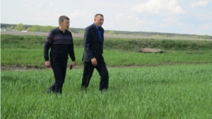 Глава администрации района Николай Миллин ознакомился с ходом полевых работ в ООО "Яманчурино" и "Энтепе"