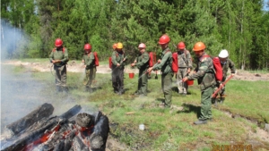 Учения по тушению лесных пожаров в Ибресинском лесничестве