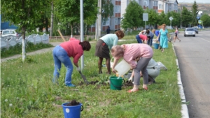 Члены женсовета Красноармейского района на благоустройстве территории