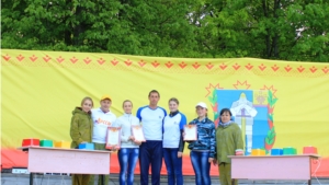 Координационный совет лидеров молодежных общественных объединений Батыревского района продолжает активную деятельность