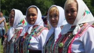 Праздник "Акатуй - 2016" в Моргаушском районе (фоторепортаж Надежды Григорьевой)