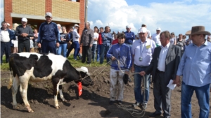 "Акатуй" в Канашском районе: спортивные соревнования