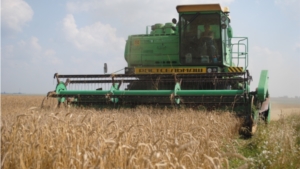 Хлеборобы Шемуршинского района приступили к уборке урожая зерновых культур 2016 года