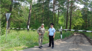 В Шемуршинском лесничестве для обеспечения пожарной безопасности проводится патрулирование лесных участков