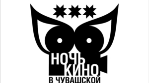 "Ночь в кино" в Ибресинском районе