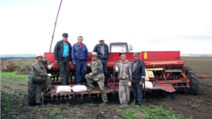 В Ибресинском районе продолжается сев озимых